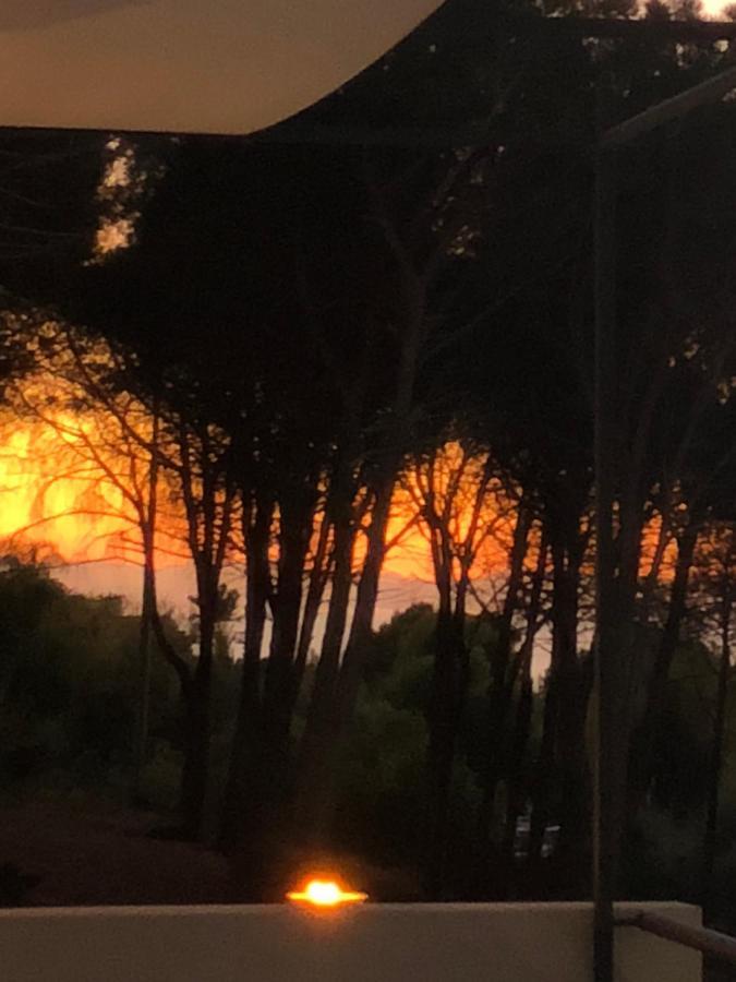 Ilenia Seaview Daire Cefalù Dış mekan fotoğraf